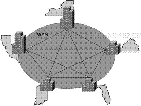 Figure 14-1. WAN