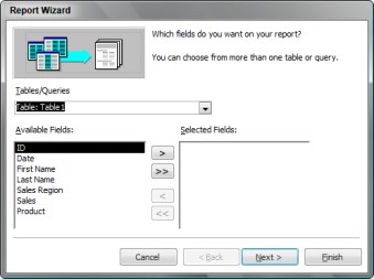 Figure 18-1: The Report Wizard lets you choose where to retrieve your data for your report.