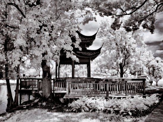 ABOUT THIS PHOTO This gazebo overlooks Lake Eola in downtown Orlando, Florida. The texture of the wooden structure and surrounding foliage makes a compelling subject in IR. Photographed with an IR-converted compact camera.