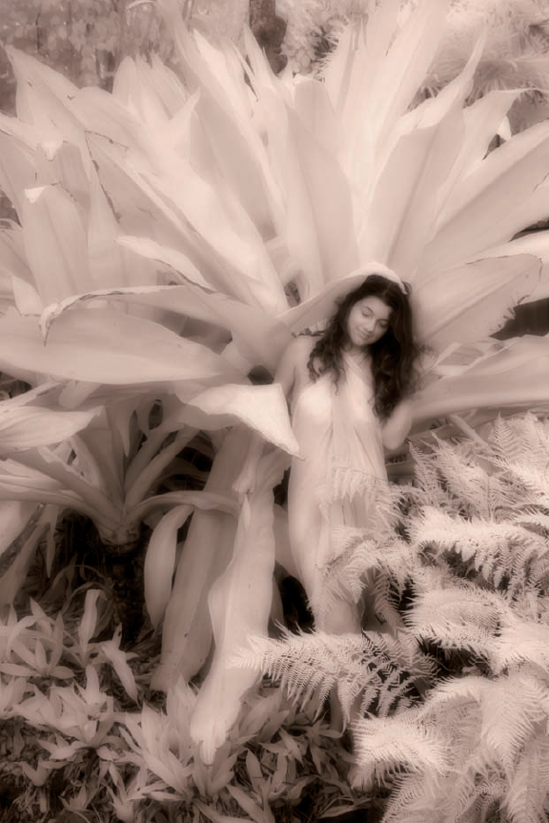 ABOUT THIS PHOTO Dorothea, Hawaii. Taken with an IR-converted Canon XTi, ISO 100, f/6.3, 1/60 sec. © Kathleen Carr