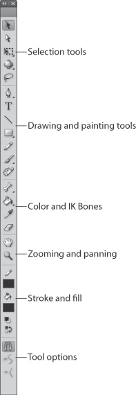 The Tools panel groups tools by different drawing chores. Selection and Transform tools are at the top, followed by Drawing tools. Next are the IK Bones tool and the color tools. The View tools are for zooming and panning. The Color tools include two swatches, one for strokes and one for fills. At the bottom you find the Options buttons, which change depending on the drawing tool you’ve selected. If you like, you can drag the docked Tools panel away from the edge of the workspace and turn it into a floating panel.