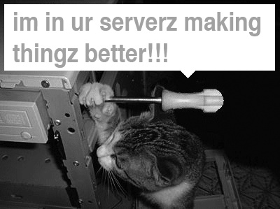 In the early days of Twitter, lolcats warned members of network problems