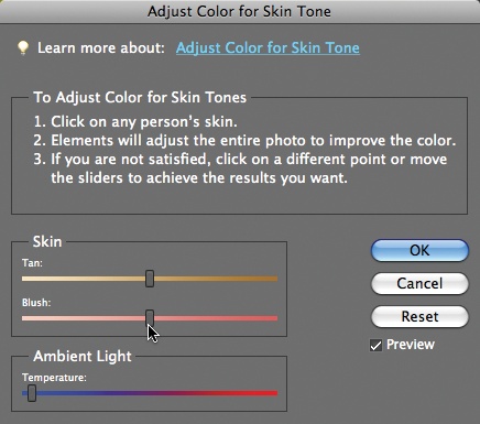 When this dialog box appears, your cursor turns into a little eyedropper when you move it over your photo. Just click the best-looking area of skin you can find. After Elements adjusts the photo based on your click, you can use the sliders to fine-tune the results. Clicking different spots gives different results, so you may want to experiment by clicking different places.
