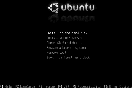 The Ubuntu installation screen