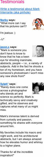 Testimonials in Flickr are presented in the profile and can help shape the perception of that person.