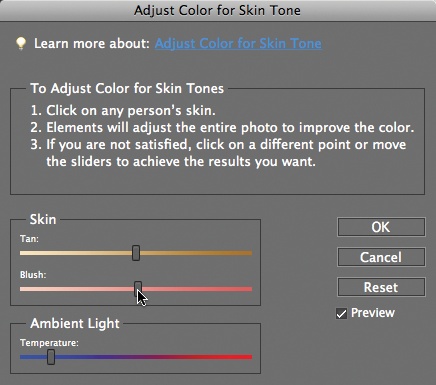 When this dialog box appears, your cursor turns into an eyedropper when you move it over your photo. Click the best-looking area of skin you can find. (You don’t see any sliders in the dialog box’s tracks until you click.) After Elements adjusts the photo based on your click, the sliders appear and you can use them to fine-tune the results. Clicking different spots produces different results, so try clicking different places.