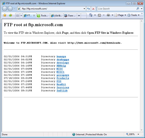 FTP listings in an Internet Explorer window use this bare-bones text format.