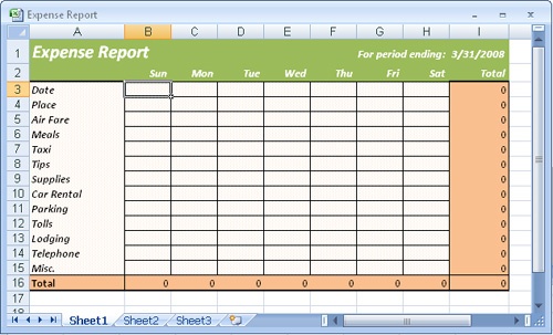This template file serves as the basis for creating new expense reports.
