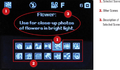 A typical digital camera’s scene menu.