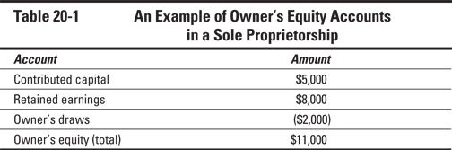 Table 20-1	An Example of Owner’s Equity Accounts in a Sole Proprietorship