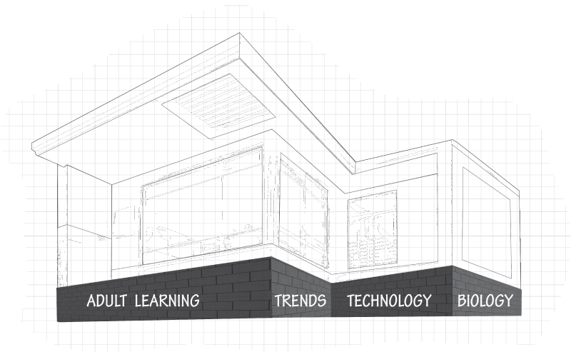A schematic diagram for foundation for new learning with a building plan with the text adult learning, trends, technology, and biology at the foundation.