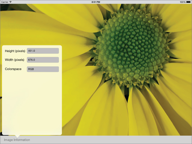 Screenshot of iOS device with a flower with yellow petals, with a box on left bottom, with the Height (pixels) set to 451.0, Width (pixels) set to 676.0, and Colorspace set to RGB. 