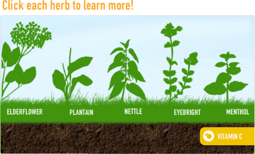 The figure depicting the simple interactive infographic for the natural ingredients delivered value (elderflower, plantain, nettle, eyebright, and menthol) placed on its home page to increase click-through engagement and conversion. 