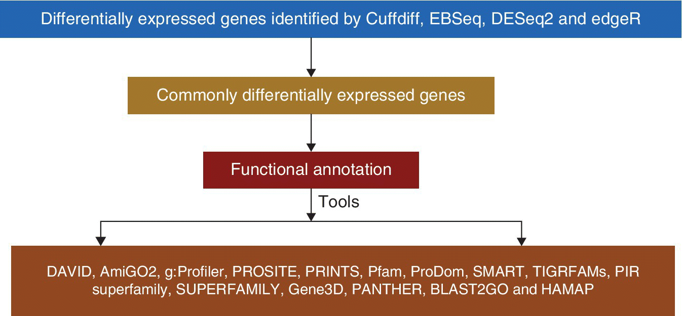 Flow diagram of Cuffdiff prediction of Differentially Expressed Genes (DEG) displaying light to dark shaded boxes giving the output of DEGs in Ensembl IDs.