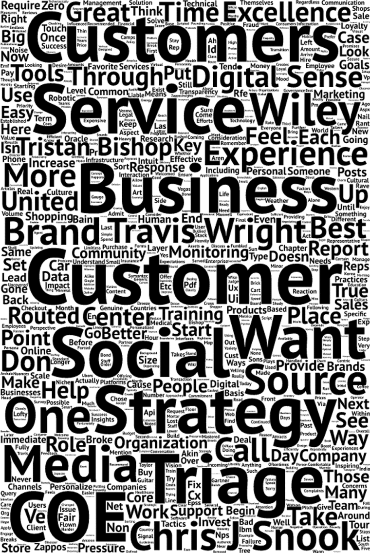 Figure depicting a word cloud with few words, for example, customers, service, business, and so on represented in bold, and other words are presented in the lower fonts.