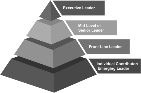 A pyramid depicting the turning points of leadership. Starting from the top, the pyramid is classified into four parts: executive leader, mid-level or senior leader, front-line leader, individual leader, and individual contributor/emerging leader.