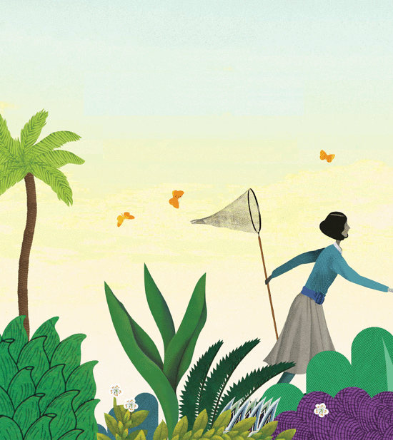 A cartoon image depicting a girl walking in the forest with a butterfly net.