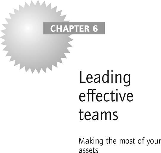 Leading effective teams
