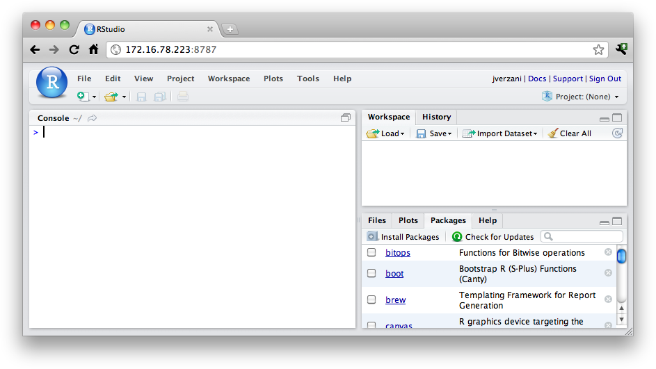 Screenshot of RStudio startup run through a web browser; here, the Source component is hidden, as no files are currently being edited