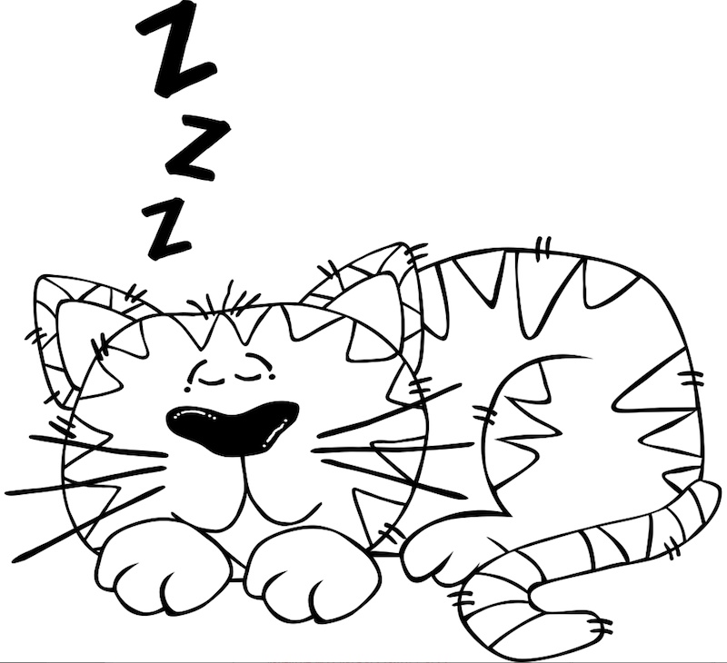 Sleepy cat SVG image, now colorless