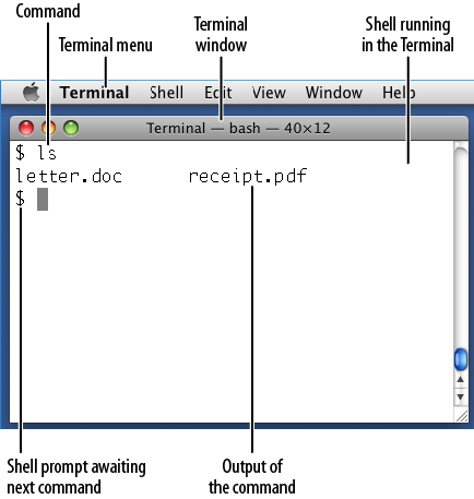 The Terminal application running a shell