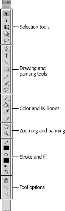 The Tools panel groups tools by different drawing chores. Selection and Transform tools are at the top, followed by Drawing tools. Next are the IK Bones tool and the Color tools. The View tools are for zooming and panning. The Color tools include two swatches, one for strokes and one for fills. At the bottom you find the Options buttons, which change depending on the drawing tool you’ve selected. If you like, you can drag the docked Tools panel away from the edge of the workspace and turn it into a floating panel.
