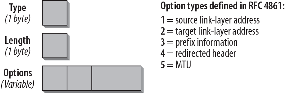Format of the Options field