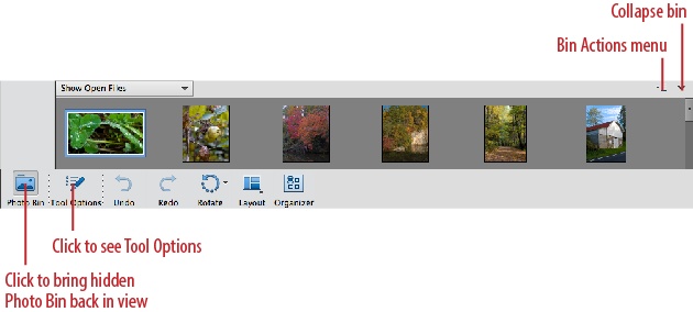 The Photo Bin, which runs across the bottom of the Editor’s screen, holds a thumbnail of every photo you have open. Click the arrow in the bin’s top-right corner to collapse it, and use the button at the bottom left to bring it back again. The Tool Options button displays settings for the tool you’re currently using.