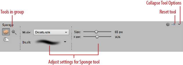 The Tool Options area changes to show settings specific to the current tool. Here you see the Sponge tool’s options, as well as the icons for the Dodge and Burn tools, which share its Tools panel slot. Remember, the Tool Options section replaces the Photo Bin when you click a tool’s icon. You can switch between the Photo Bin and the Tool Options by clicking their buttons at the bottom of your screen.