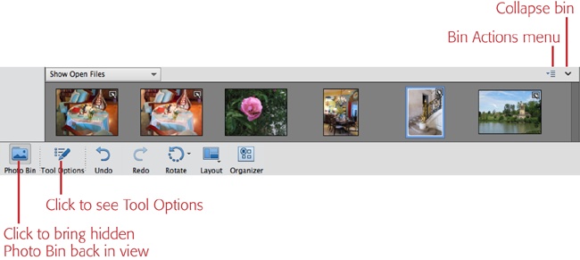 The Photo Bin, which runs across the bottom of the Editor’s screen, holds a thumbnail of every photo you have open. Click the arrow in the bin’s top-right corner to collapse it, and use the button at the bottom left to bring it back. Clicking the Tool Options button displays settings for the tool you’re currently using.