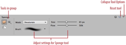 The Tool Options area changes to show settings specific to the current tool. Here you see the Sponge tool’s options, and the icons for the Dodge and Burn tools, which share its Tools panel slot. Remember, the Tool Options section replaces the Photo Bin when you click a tool’s icon. You can switch between the Photo Bin and the Tool Options by clicking their buttons at the bottom of your screen.