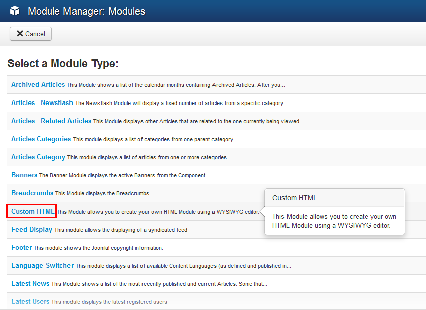 Selecting the Custom HTML module type