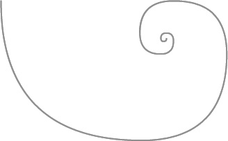 A logarithmic spiral shape