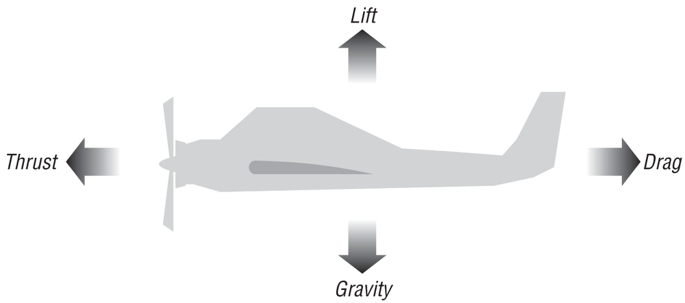 Forces on aircraft in flight