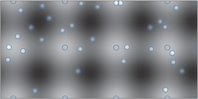 Identified local maxima (blue circles)