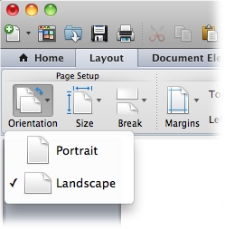 Click portrait or landscape to change the page orientation for your document. If you want to change the orientation for just a couple pages in the middle of a document, you need to divide your document into sections as described on page 196.