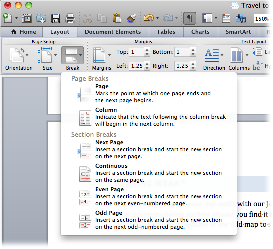 The bottom of the Break menu on the Layout tab has four options for inserting a section break into your documents.