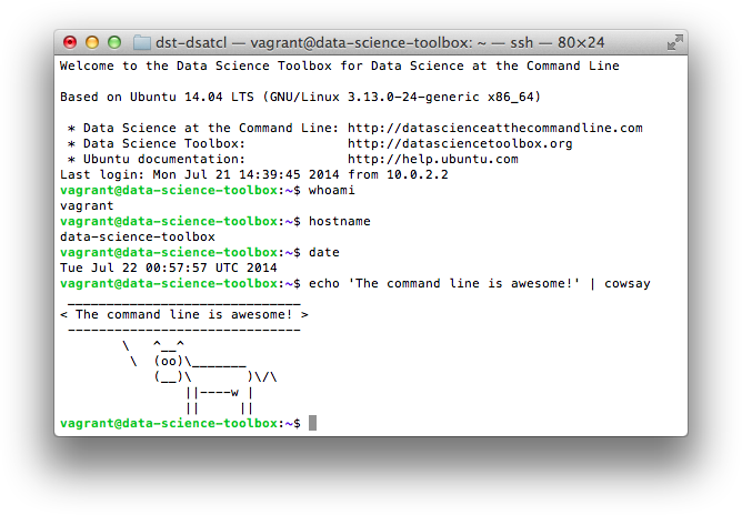 screenshot terminal mac dst