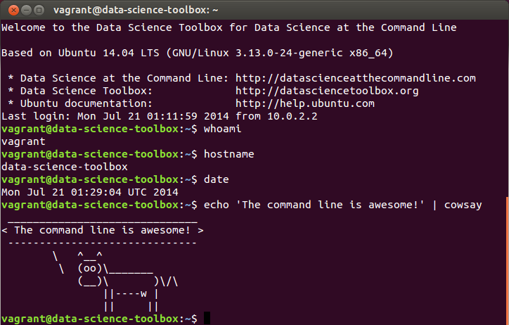 screenshot terminal ubuntu dst