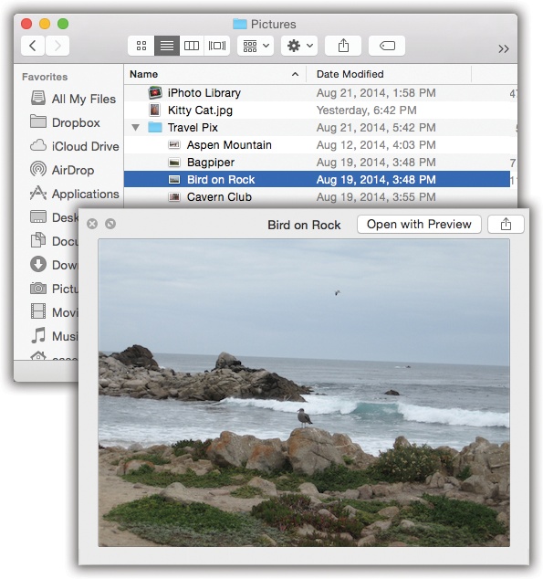 Once the Quick Look window is open, you can play a file (movies and sounds), study it in more detail (most kinds of graphics files), or even read it (PDF, Word, and Excel documents). You can also click another icon, and another, and another, without ever closing the preview; the contents of the window simply change to reflect whatever you’ve just clicked. Supertip: Quick Look works even on icons in the Trash, so you can figure out what something is before you nuke it forever.