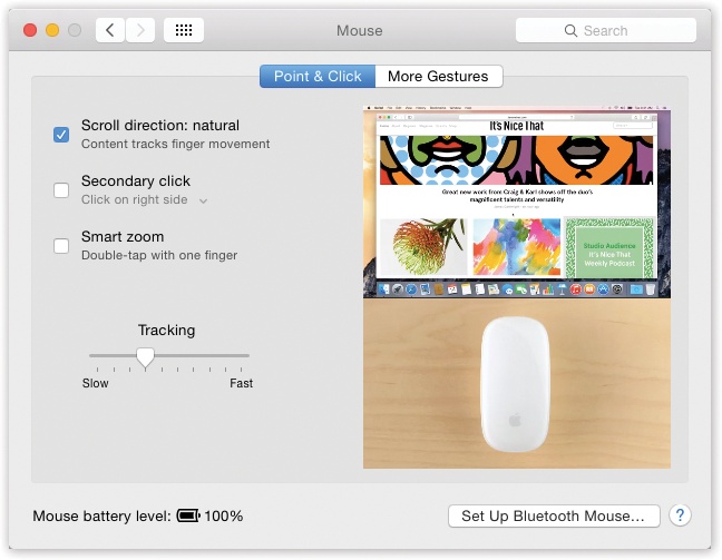 This enormous photographic display shows up if you have the Magic Mouse, one of Apple’s secretly “two-button” mice. The controls here let you program the right and left buttons.This is also where you can turn the right-clicking feature on (just choose Secondary Button from the appropriate pop-up menu)—or swap the right- and left-click buttons’ functions.