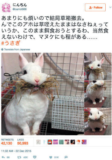 A block of Japanese text and a bunny never fail to spark joy (source: @carrot666)