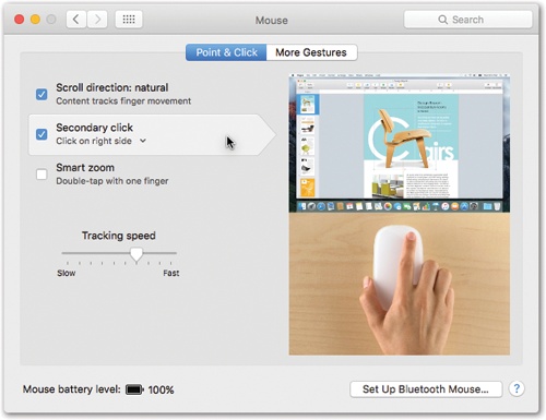 This huge photographic display shows up if you have the Magic Mouse, one of Apple’s secretly “two-button” mice. The controls here let you program the right and left buttons.This is also where you can turn the right-clicking feature on (just choose Secondary Button from the appropriate pop-up menu)—or swap the right- and left-click buttons’ functions.