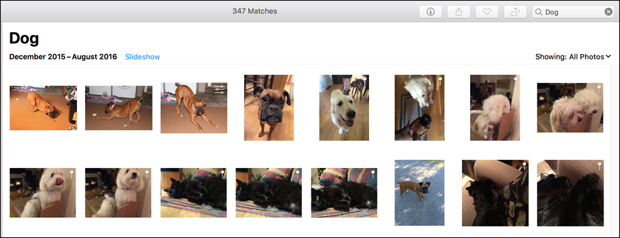 **①** Photos can do tricks like identify dogs in photos. (Nobody’s perfect, though—it also found a cat.)