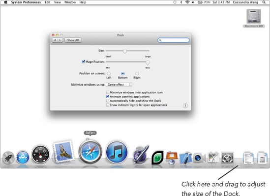 Magnification makes Dock icons expand in size when you move the mouse pointer over them.