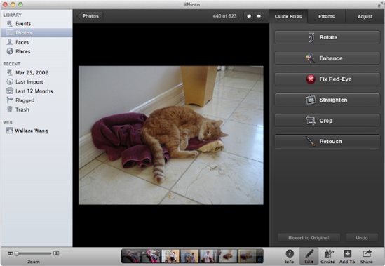 The iPhoto window displays editing tools.