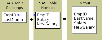 SAS Tables and Output