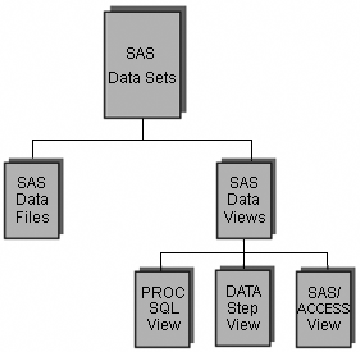 SAS data view