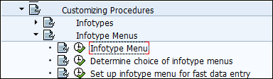 Customizing the infotype menu and info groups