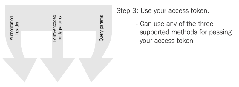 Step 3 – Use your access token